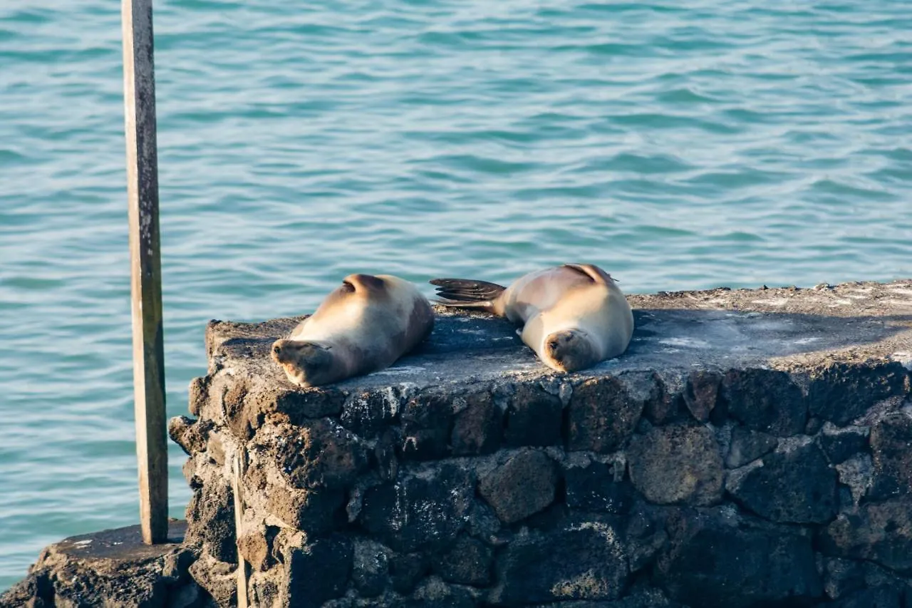 Blu Galapagos Sustainable Waterfront Lodge Puerto Ayora  Hotel