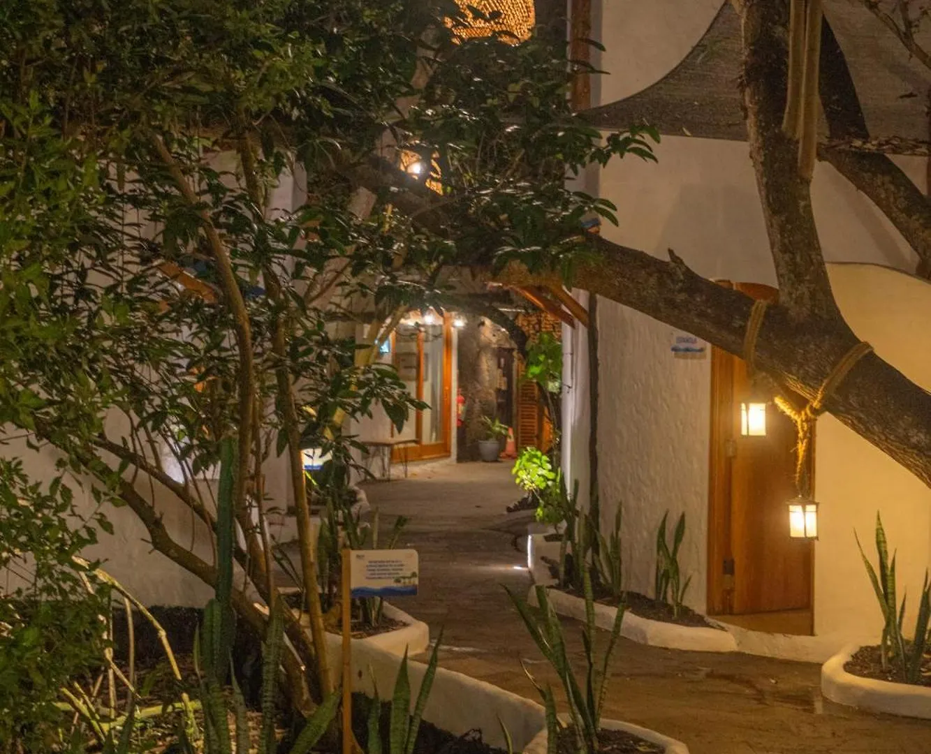 Blu Galapagos Sustainable Waterfront Lodge Puerto Ayora  Hotel