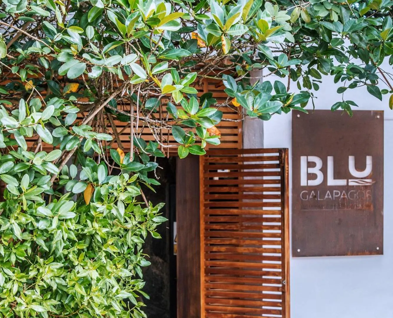 Blu Galapagos Sustainable Waterfront Lodge Puerto Ayora  Hotel Puerto Ayora (Galapagos Islands)