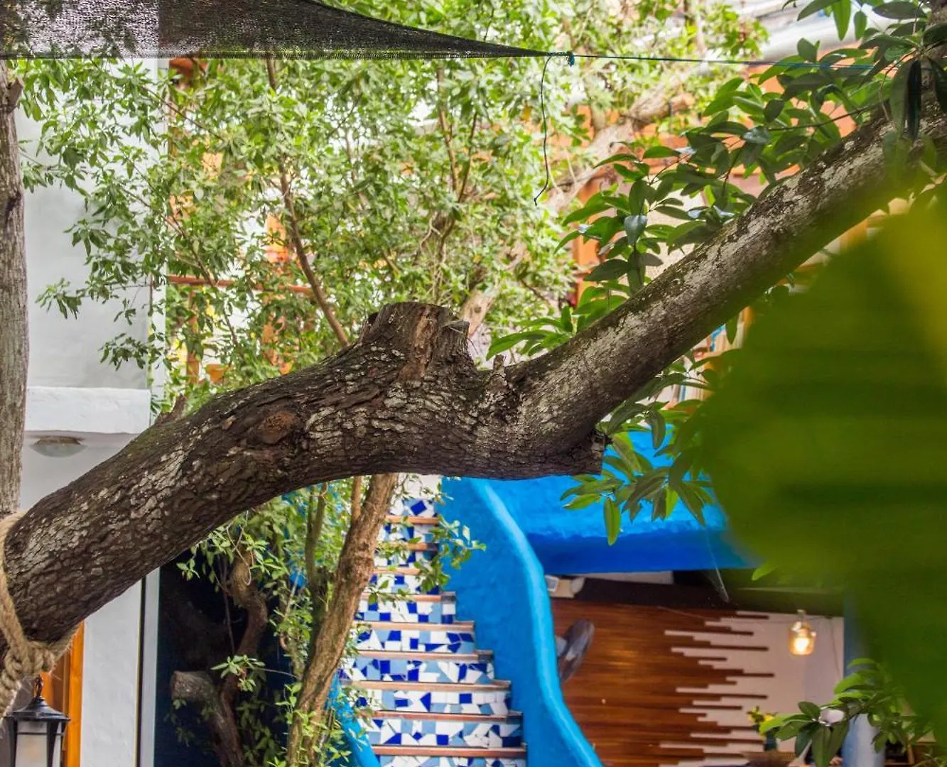 ***** Hotel Blu Galapagos Sustainable Waterfront Lodge Puerto Ayora  Equador