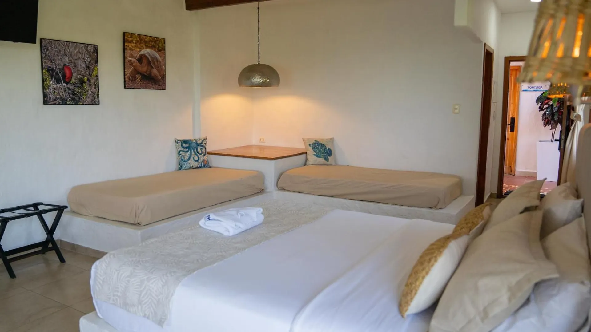 ***** Hotel Blu Galapagos Sustainable Waterfront Lodge Puerto Ayora  Ecuador