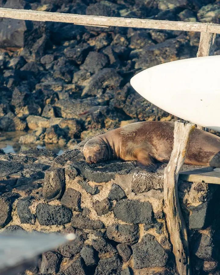 Blu Galapagos Sustainable Waterfront Lodge Puerto Ayora  Hotel Puerto Ayora (Galapagos Islands)