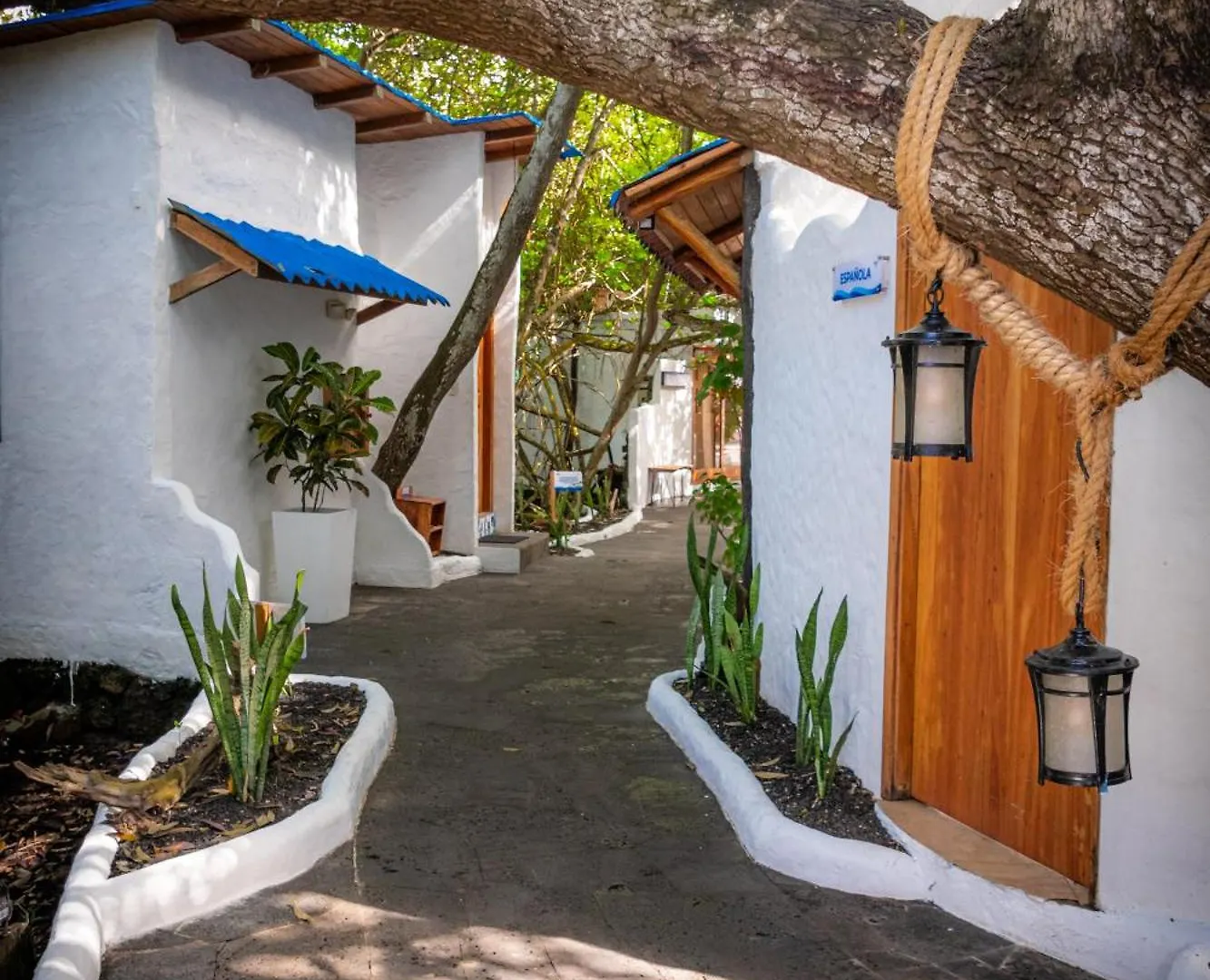 Blu Galapagos Sustainable Waterfront Lodge Puerto Ayora  Hotel Puerto Ayora (Galapagos Islands)